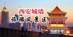 男生的逼操女生的逼网站中国陕西-西安城墙旅游风景区
